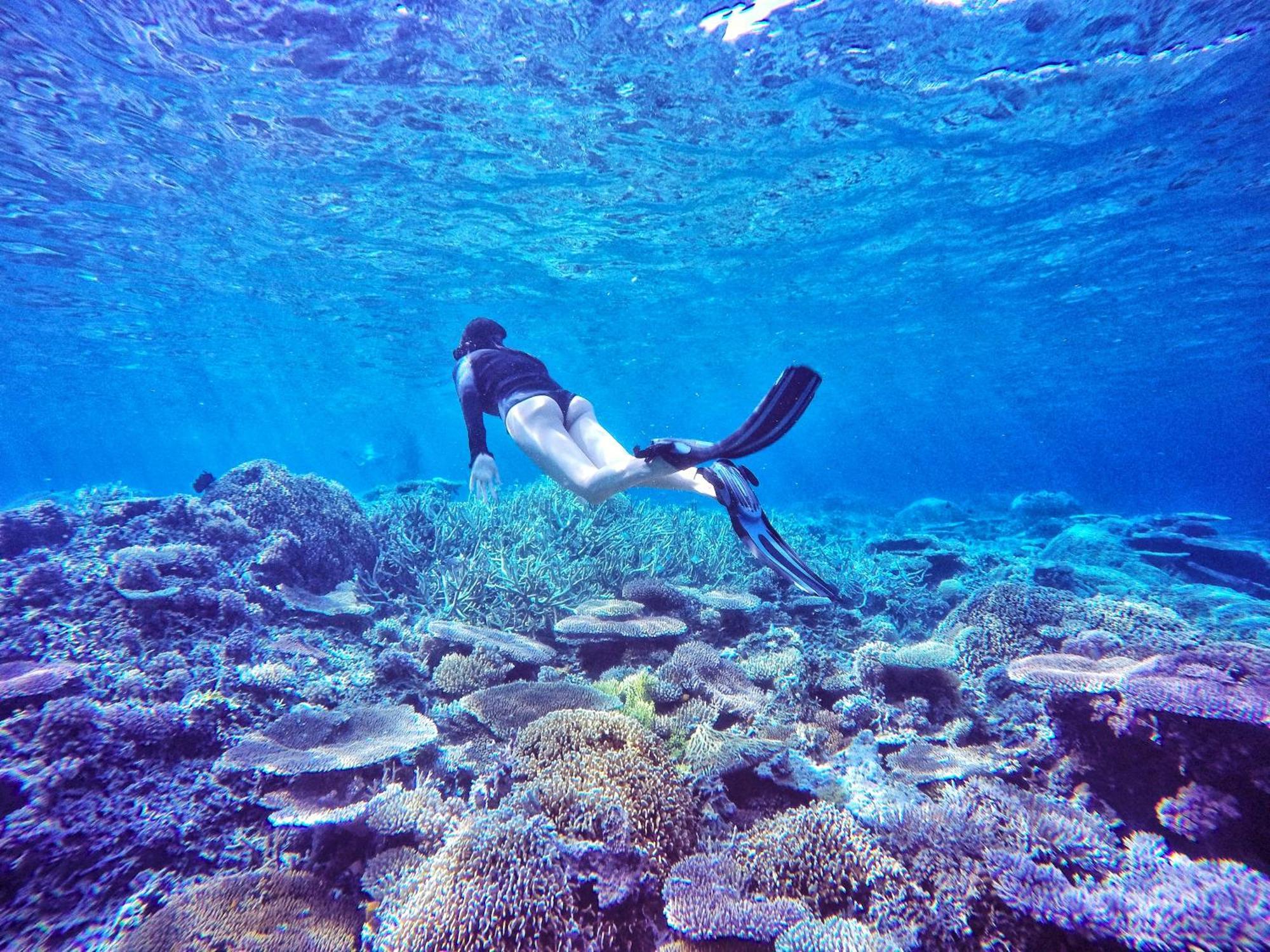 Bolilanga Island Resort - Togean Island Angkayo Zewnętrze zdjęcie