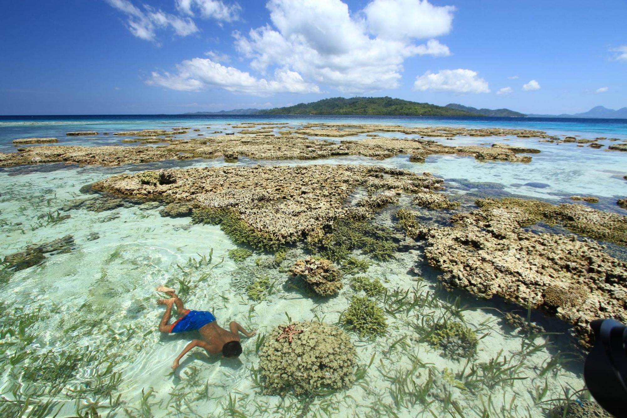 Bolilanga Island Resort - Togean Island Angkayo Zewnętrze zdjęcie