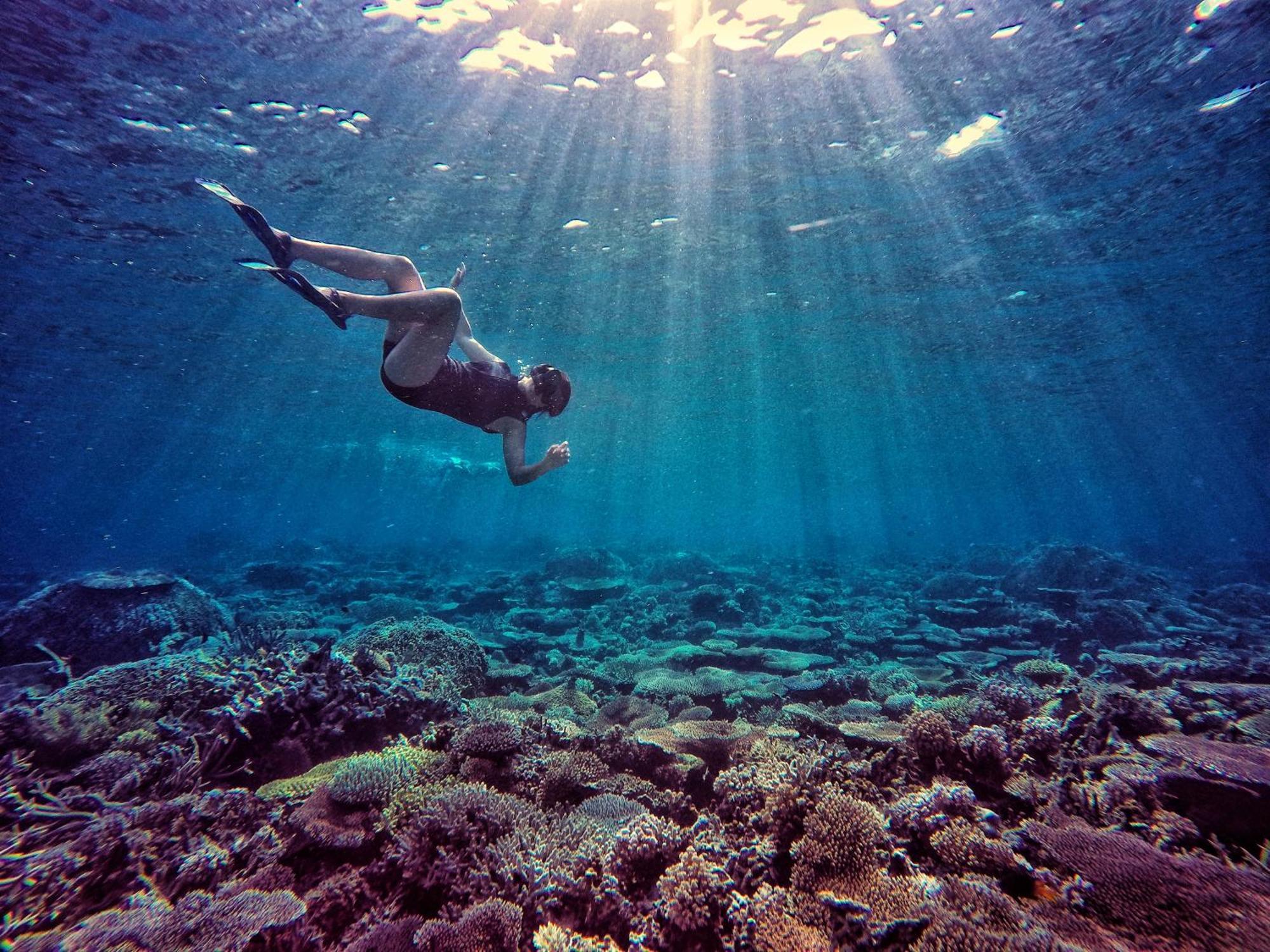 Bolilanga Island Resort - Togean Island Angkayo Zewnętrze zdjęcie